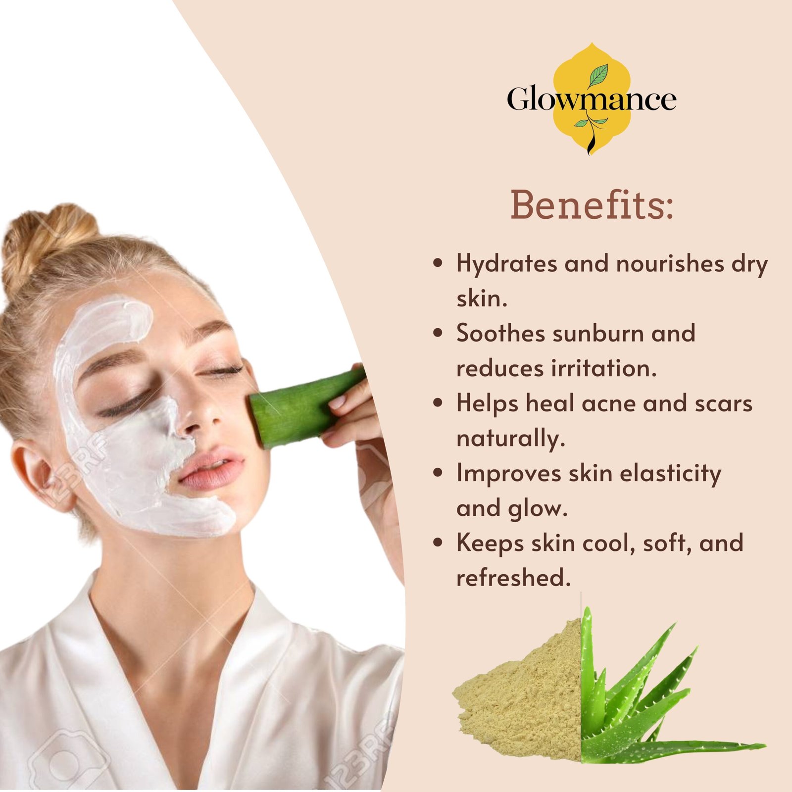 Aloe Vera Face Pack Powder-100gm - Image 2